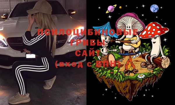 бошки Арсеньев