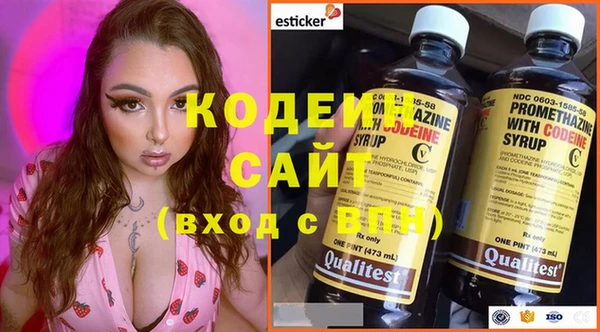 мдпв Коряжма