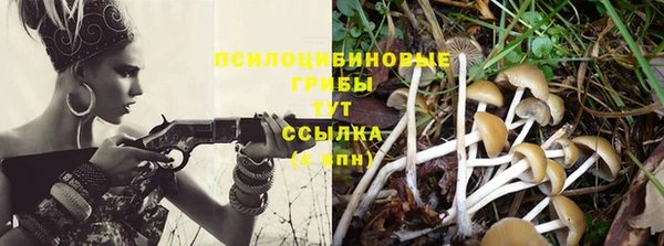 спайс Аркадак