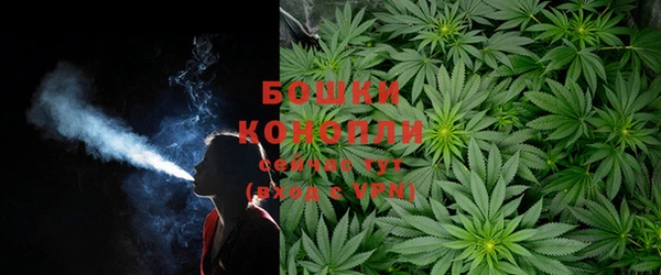 спайс Аркадак