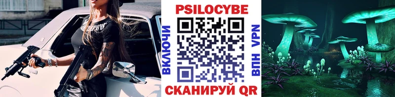 Галлюциногенные грибы Psilocybe  Купить  Белоусово 